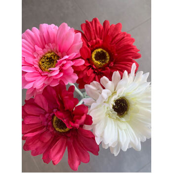thumb_Gerbera Daisy Stem - White/Cream