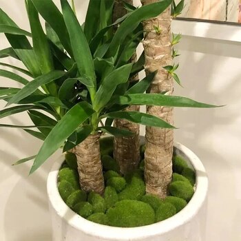 thumb_10pcs Set of Faux Green Moss Rocks - Assorted Sizes