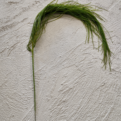 thumb_110cm Artificial Trailing Greenery Stem – Willow Style