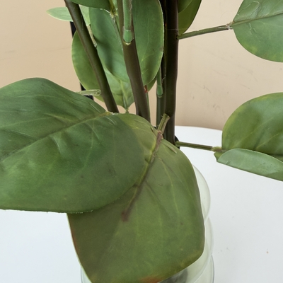 thumb_Soft Touch Dusty Rose Protea Flower Stem