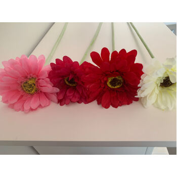 thumb_Gerbera Daisy Stem - White/Cream
