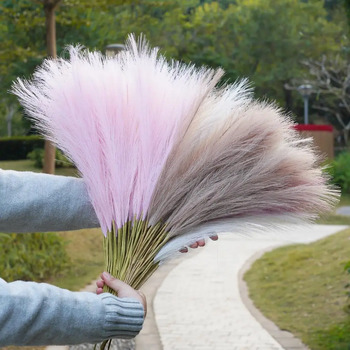 thumb_80cm Pampas Grass - Soft Pink