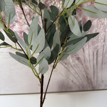 thumb_95cm Green/Grey Willow Native Eucalyptus Branch
