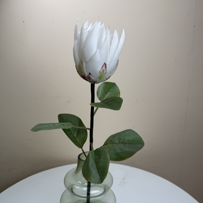 thumb_Soft Touch White Protea Flower Stem 66cm