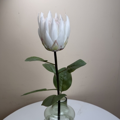 thumb_Soft Touch Dusty Rose Protea Flower Stem