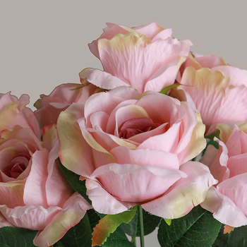 thumb_46cm - 7 Head Large Rose Bush (8cm) - Blush Pink