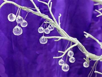 Crystal Decorations On Manzanita Tree