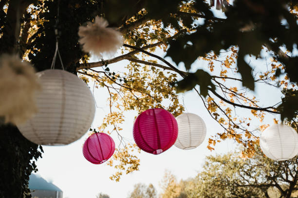 Colourful Paper Lanterns Hanging from trees at an outdoor wedding