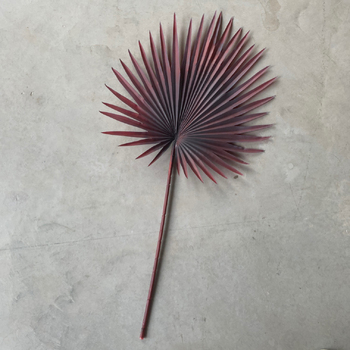92cm Fan Palm Frond Leaf - 12 Colours Available [colours: Burgundy]