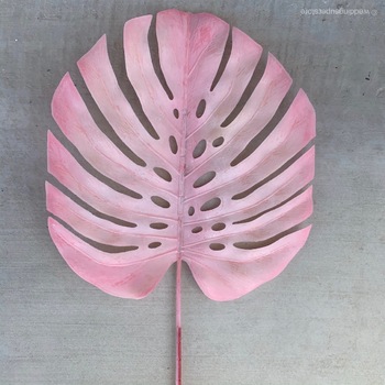90cm Monstera Split Leaf Philo - Pink