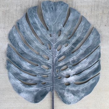 90cm Monstera Split Leaf Philo - Misty Blue/Grey