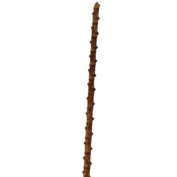 Metallic Twig - 140cm - Copper