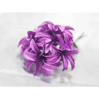 72 x Hybrid Craft Lilies - Lavender