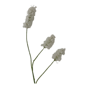 85cm Flowering Reed - 3 Head -  White