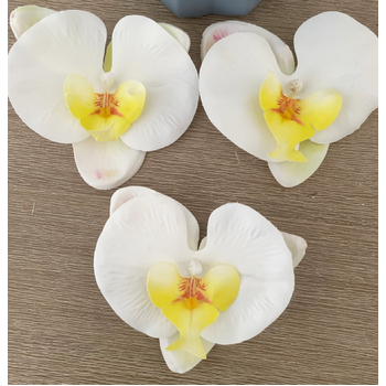 9cm Floating Orchid Head - White/Yellow