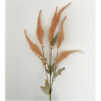 70cm - 6 Head Grass/Reed Flower Stem - Peach