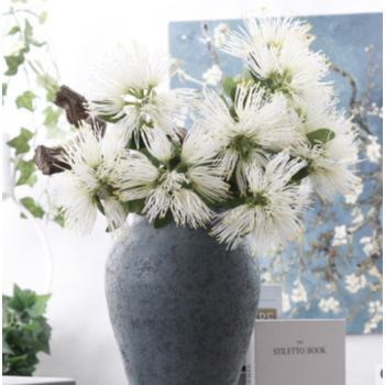 thumb_White Native Bloom Flower 40cm (Xanthostemon)
