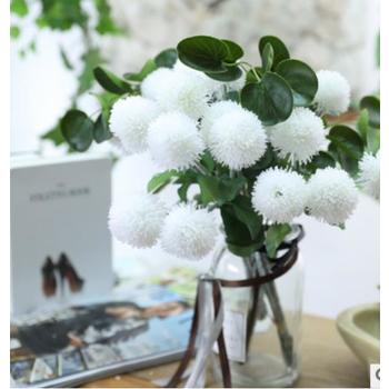 6cm White Allium (Onion Balls) Bunch - 6 Heads
