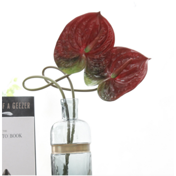 67cm -  Dark Red Anthurium Flower