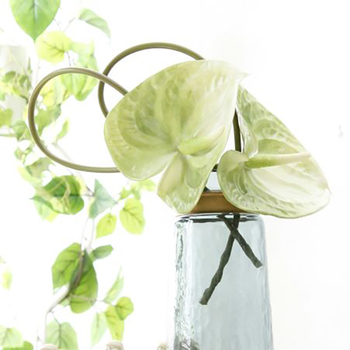 67cm -  Green Anthurium Flower