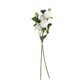 80cm Stunning 6 head large rose stems