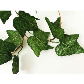 5pk - 2.3m Ivy Leaf Garland