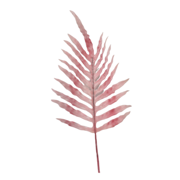 105cm Philo Finger Leaf - Two Tone Pink