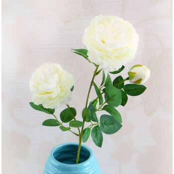 60cm - 3 Head Rose Flower Stem - White