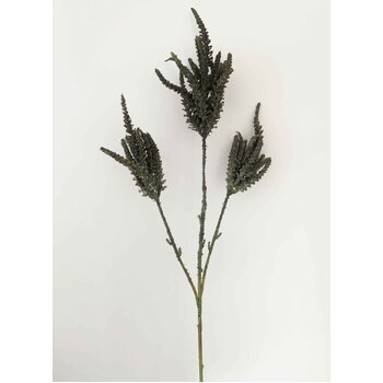 90cm Charcole Astilbe - 3 Head