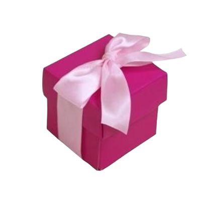 50pk 2pc Favor Box  Fushia