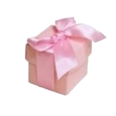 50pk 2pc Favor Box  Pink