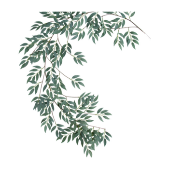 1.8m Willow Eucalyptus Garland