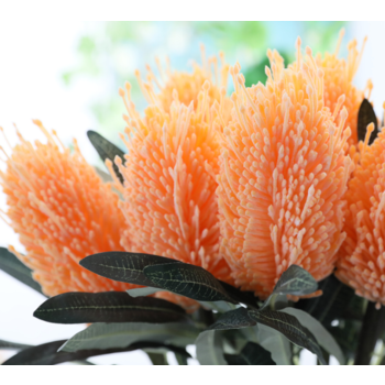 Orange Native  Flower 63cm