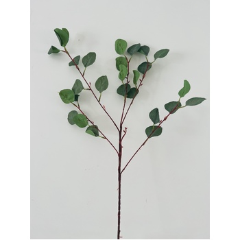 90cm Light Green Native Eucalyptus Leaf Bunch (Silver Dollar)