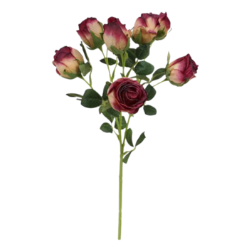 50cm - Burgundy Two Toned Dried Look Rose Stem 7 Heads