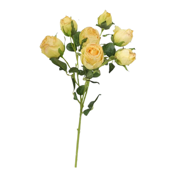 50cm - Yellow Dried Look Rose Stem 7 Heads