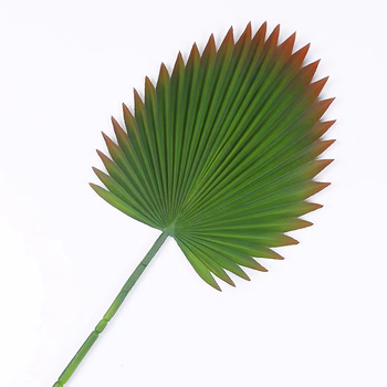 92cm Fan Palm Frond Leaf 