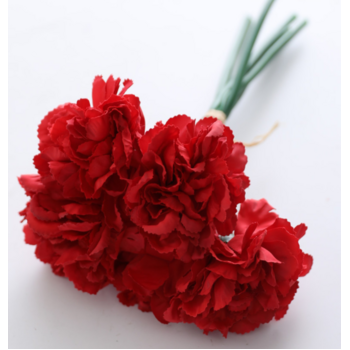 Carnation Bouquet 5 Head - Red