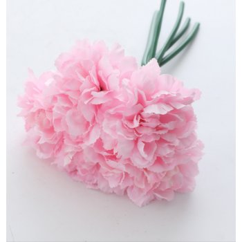 Carnation Bouquet 5 Head - Pink