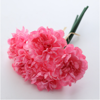 Carnation Bouquet 5 Head - Dark Pink