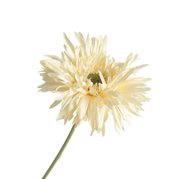 42cm Chrysanthemum Flower - Cream
