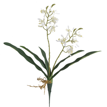 45cm Orchid Flower with Roots - White