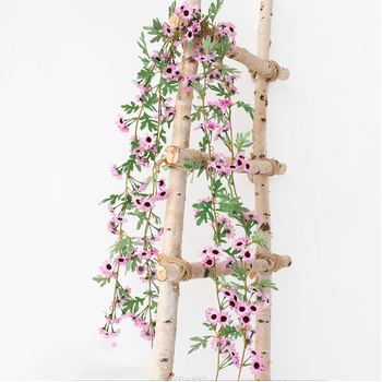 1.7m Everlasting Daisy Flower Garland - Pink