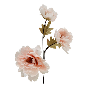 60cm Budget Peony 3 Head Flower Stem -  Pink