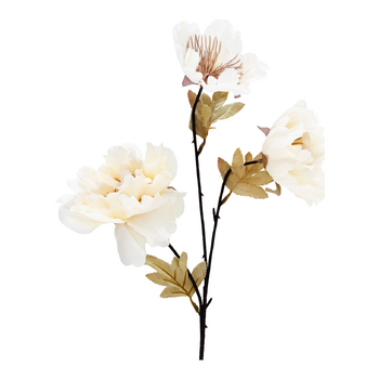60cm Budget Peony 3 Head Flower Stem -  White