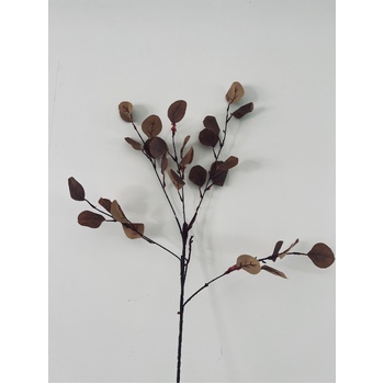 90cm Brown Native Eucalyptus Leaf Bunch (Silver Dollar)