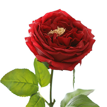 Real Touch Rose Stem - Red