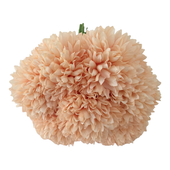 7 Head Carnation Bouquet - Peachy Pink