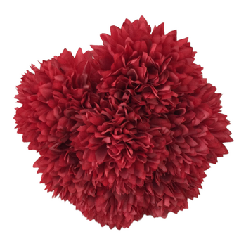 7 Head Carnation Bouquet - Red