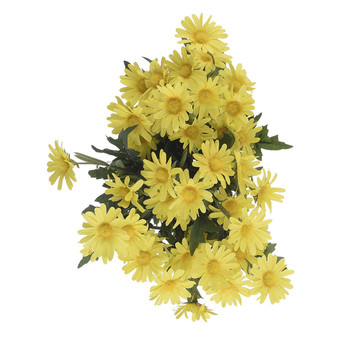 Daisy Small Filler Bunch - Yellow